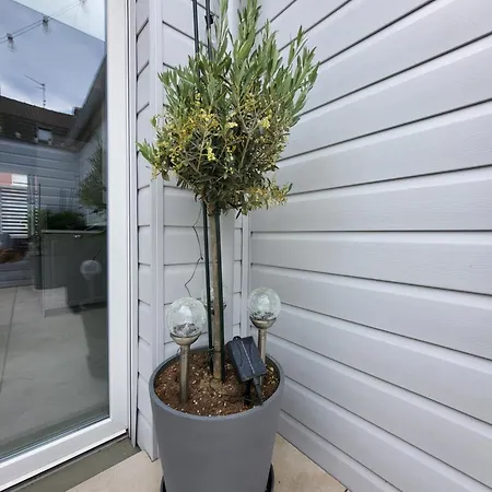 Loeli's House Tourcoing